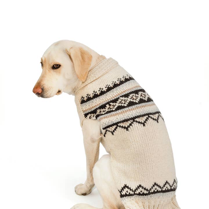 CHILLY DOG LLC – wholesale Tröja - Hund – Alpaca Cream Wyatt hundtröja2