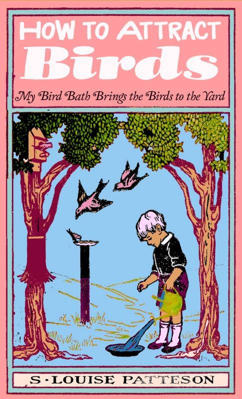 Microcosm Publishing & Distribution - Wholesale Nature & Outdoors Book - How to Attract Birds (Zine)1