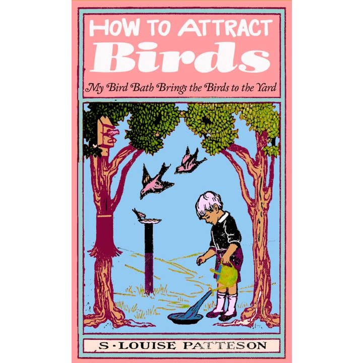 Microcosm Publishing & Distribution - Wholesale Nature & Outdoors Book - How to Attract Birds (Zine)1