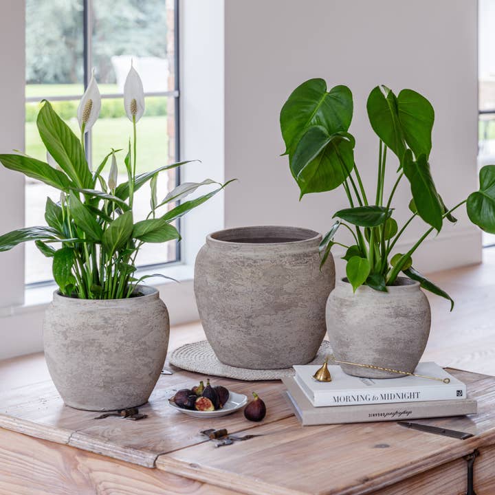 Vaso rotondo rustico Milos in terracotta da interno per la vendita all'ingrosso da parte di Ivyline