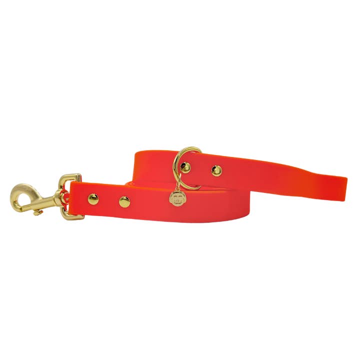 Sunburst - Splashproof Dog Leash for wholesale by Molly & Co.