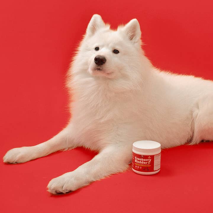 Petpal - Vente Compléments alimentaires – chien - Friandises douces à mâcher à la vessie aux canneberges pour chiens - Complément pour animaux de compagnie