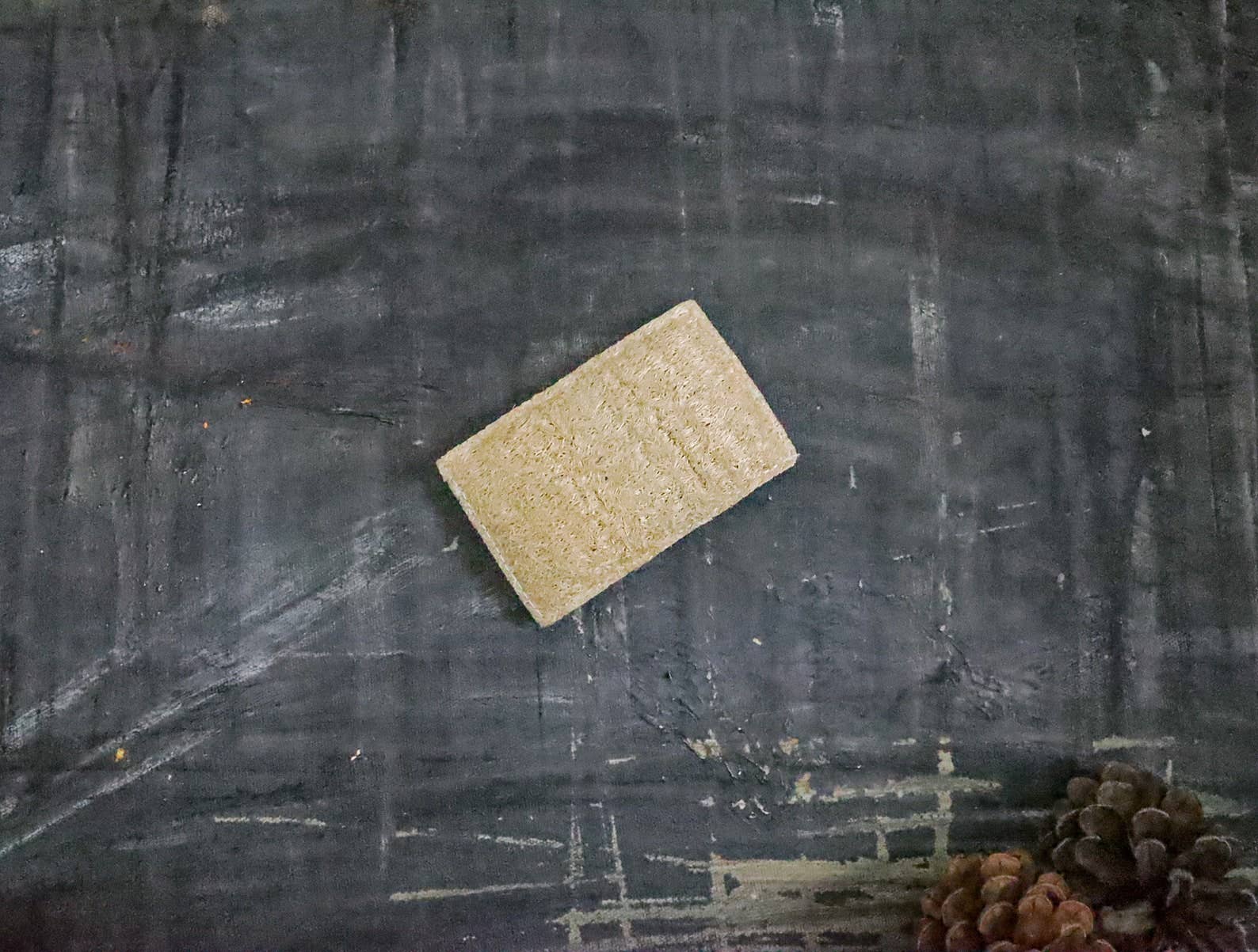 Plantish - Wholesale Cleaning Sponge - Eco Sponge0