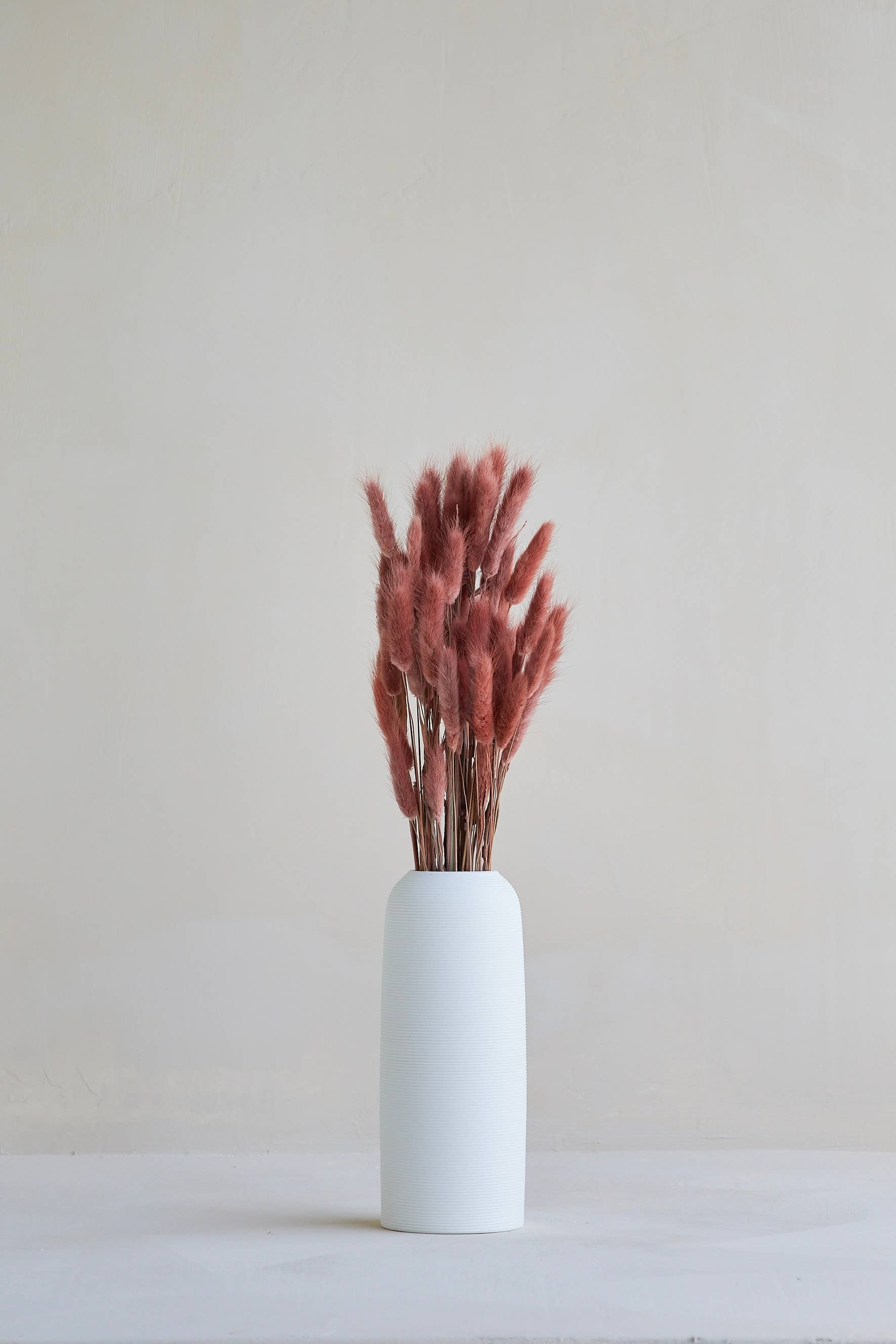 For Love Of Pampas - Wholesale Dried/Pressed Flowers - Bunny Tails in Burgundy1