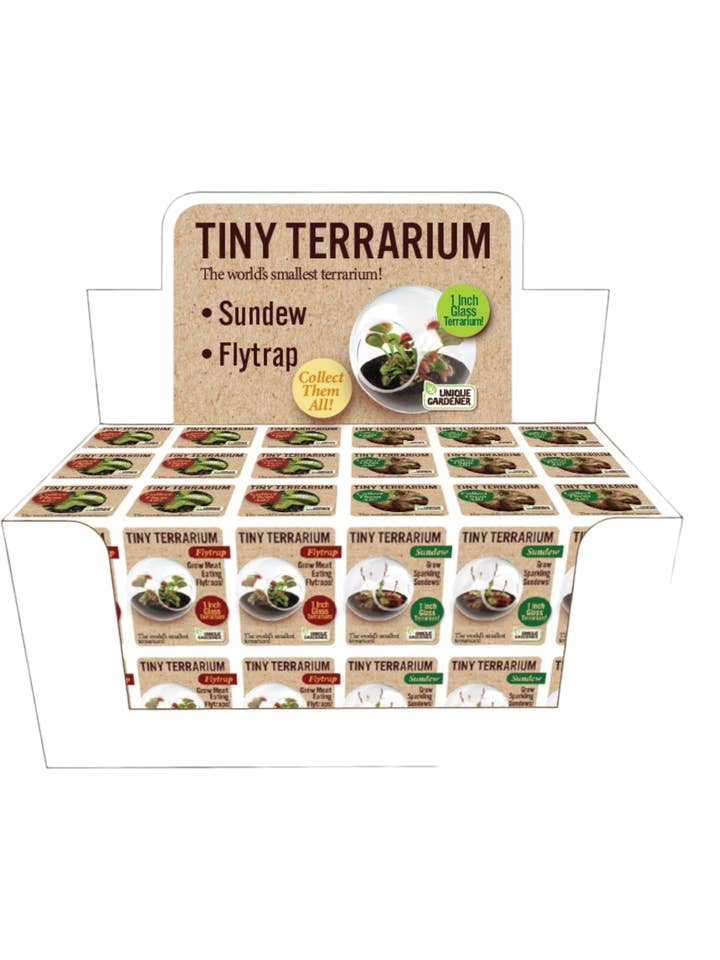Mini terrarium en verre pour plantes carnivores - présentoir de comptoir pour la vente par Silver Circle Products