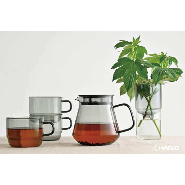 HARIO USA - Wholesale Tea Pot - HARIO Colors Glass Coffee and Tea Server, 600ml
