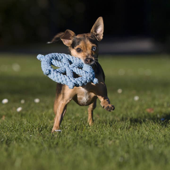 LABONI - Volentis GmbH - Wholesale Pet Rope Toy - Dog - SKIPPER – A Fresh Breeze of Fun4