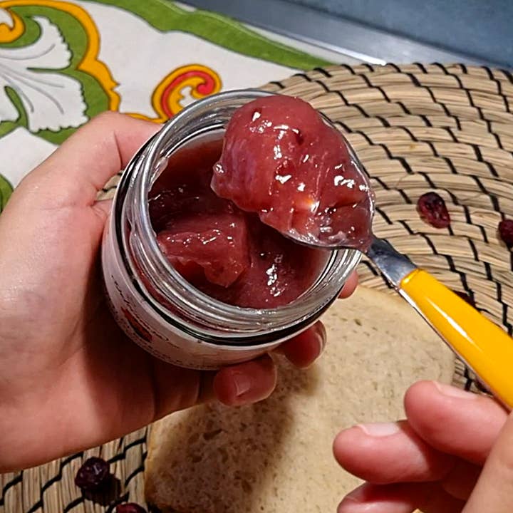 Dolcincasa.com - Wholesale Cake Mix - GLUTEN-FREE BERRY FRUIT AND YOGHURT SPREAD 200G3