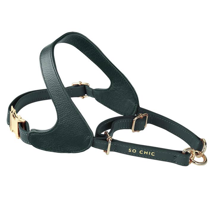 Pet So Chic - Wholesale Pet Harness - Dog - Dog Harness - Forest Green3