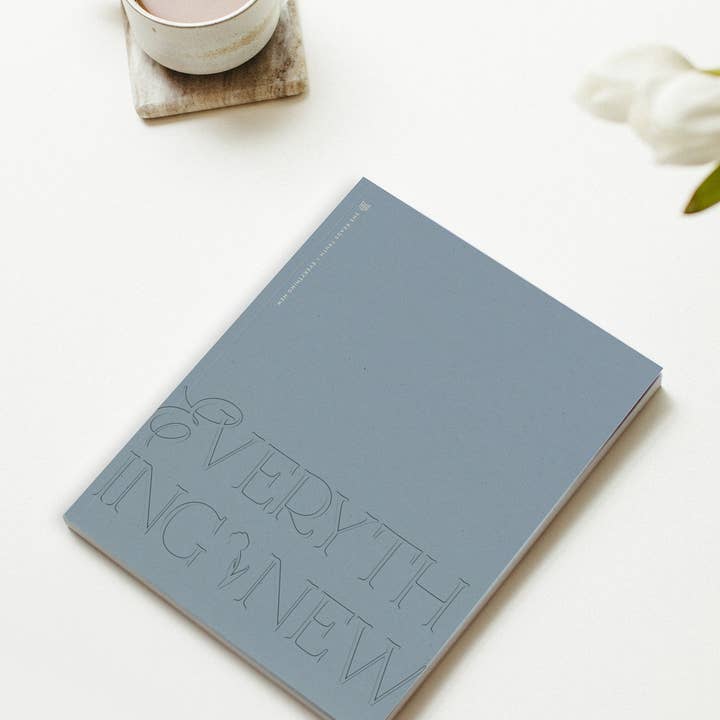 She Reads Truth - Wholesale Religion Book - Everything New Women's Reading Guide4