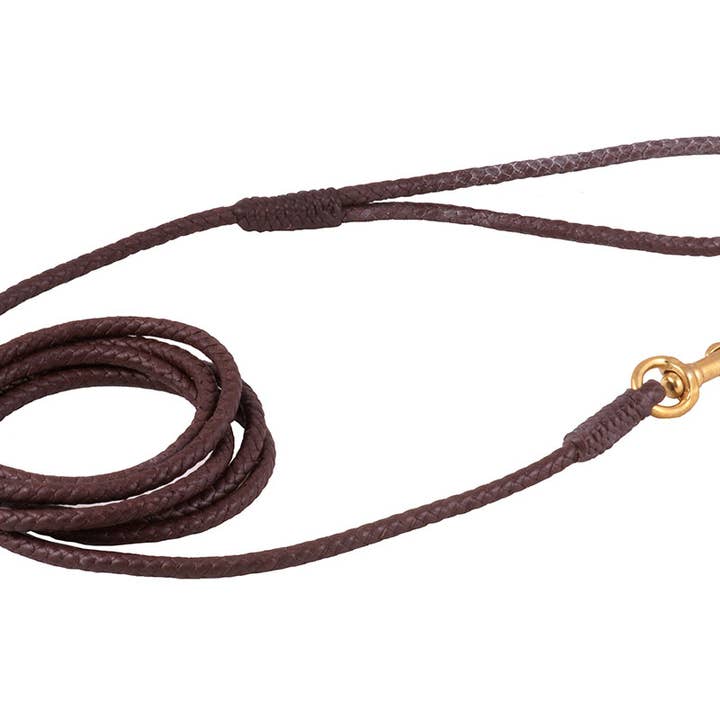 Alvalley - Wholesale Pet Leash - Dog - Braided Leather Snap Leads13