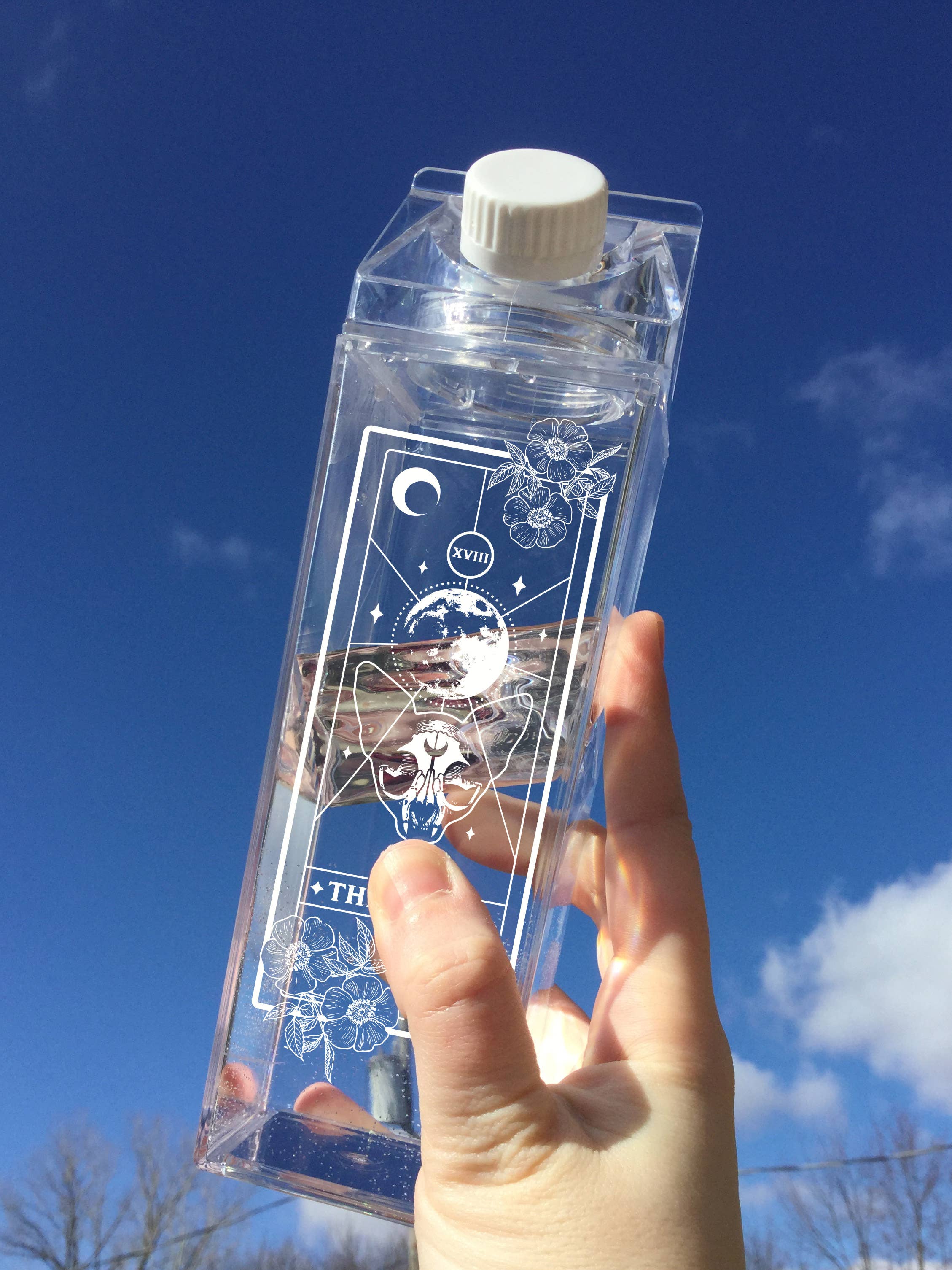 femfetti - Venta al por mayor Botellas de agua - Botella de agua Moon Cat Tarot Milk Carton1