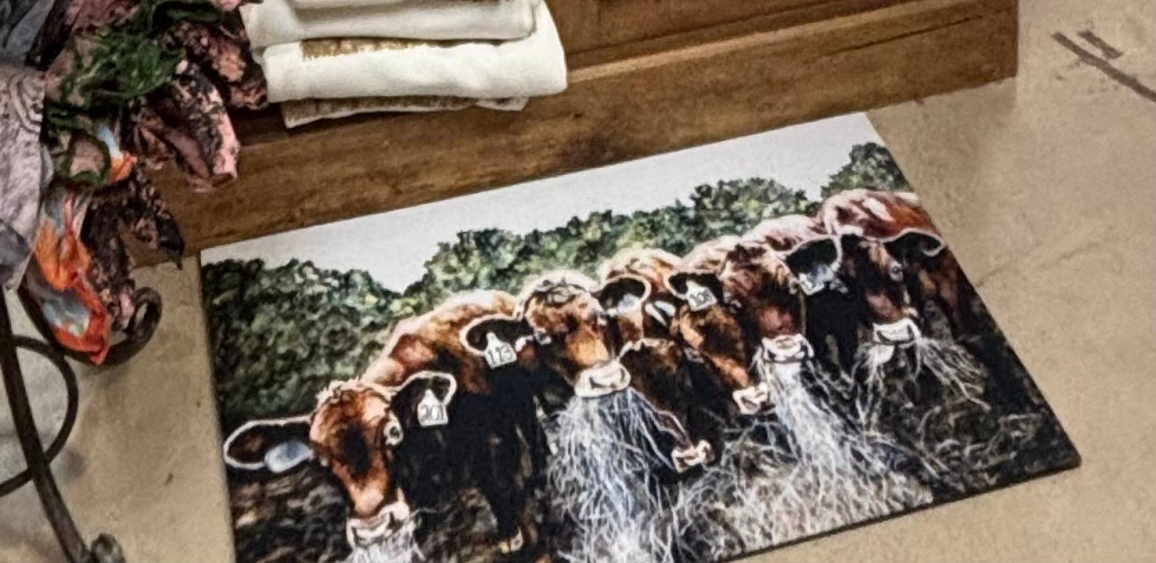 DOLLY ESTELLE - Wholesale Door Mat - Welcome Floor Mat 18x30 - Mix & Match  4