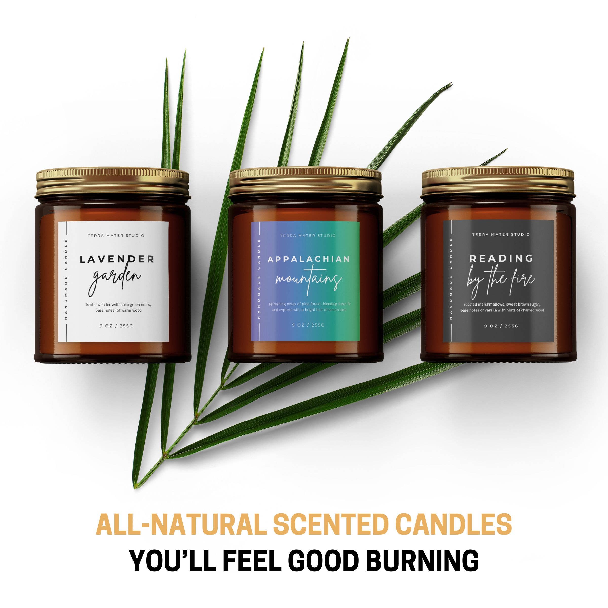 Terra Mater Studio LLC - Wholesale Jar/Filled Candle - Teakwood Mahogany All-Natural Candle | 50+ Hour Burn6