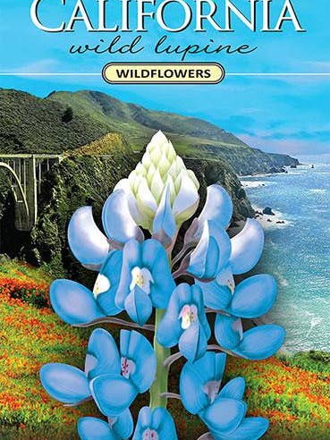 California Wild Lupine Wildflower Seed Packet for wholesale by Created By Nature