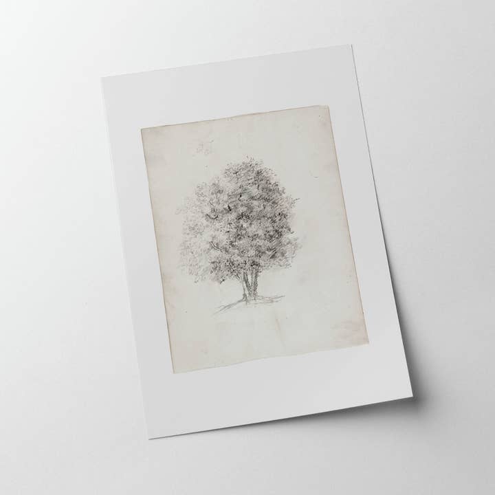 Knot & Soul - Vente Affiche d'art - Croquis de pommier