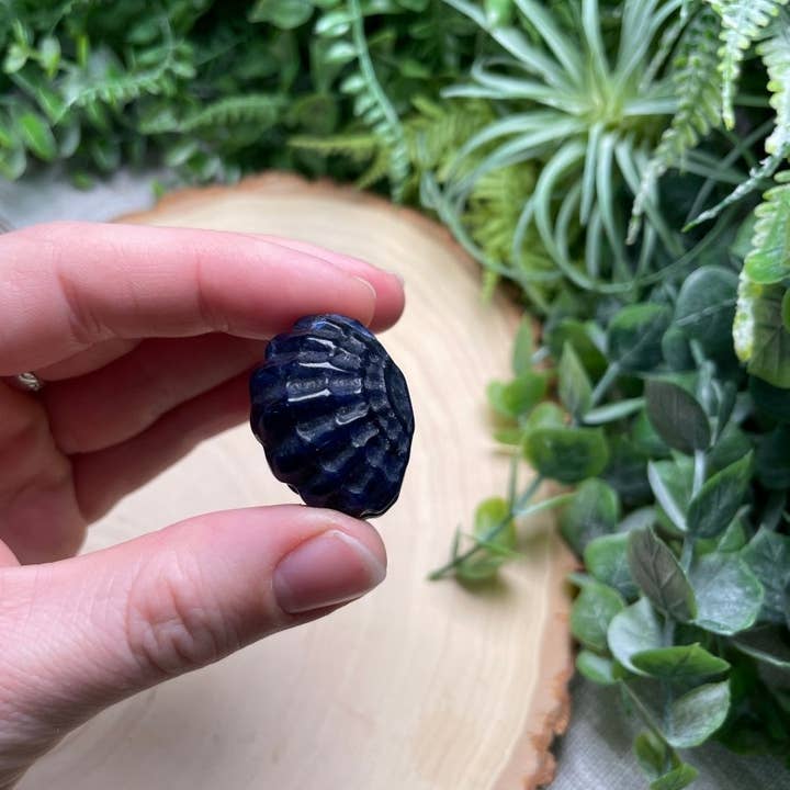 Copper Ashes - Wholesale Spiritual Stone/Crystal - Crystal Clam10