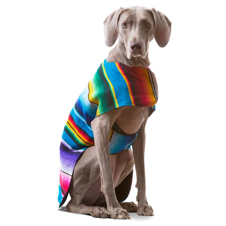 Baja Ponchos - Wholesale Pet Poncho - Dog - Dog Poncho From Mexican Serape Blanket - Blue