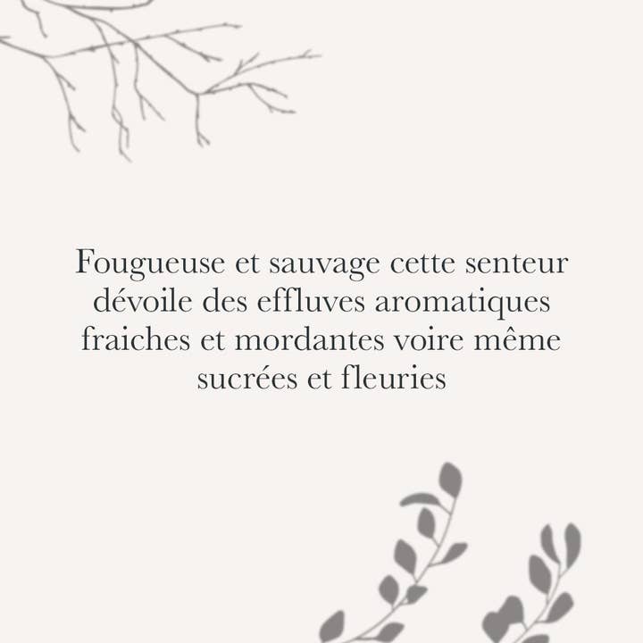 Iviucciu Di Corsica - Wholesale Perfume/Eau de Toilette - Myrtle Eau de Toilette1