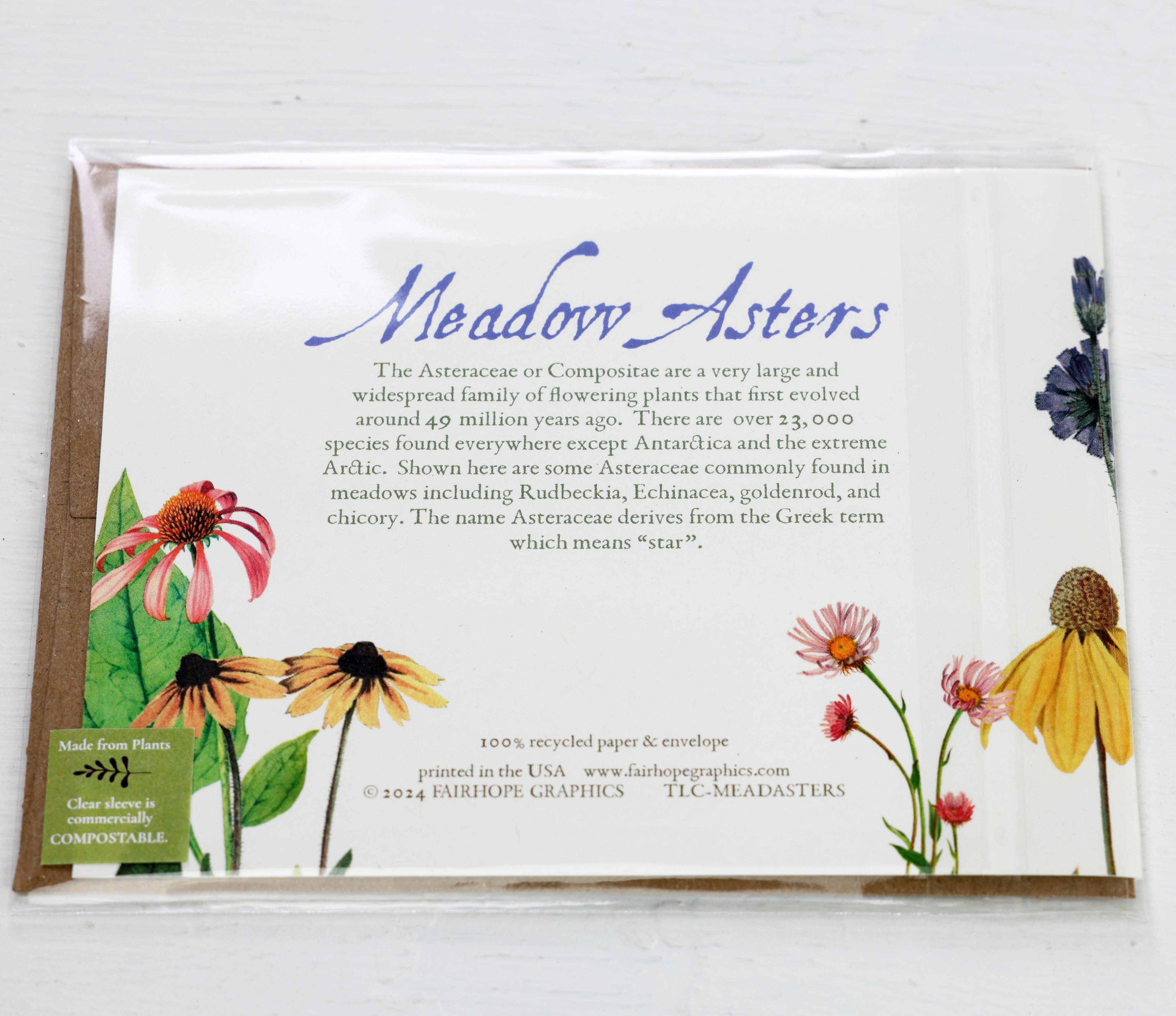 Fairhope Graphics - Vente Carte de vœux classique - Carte Meadow Asters2