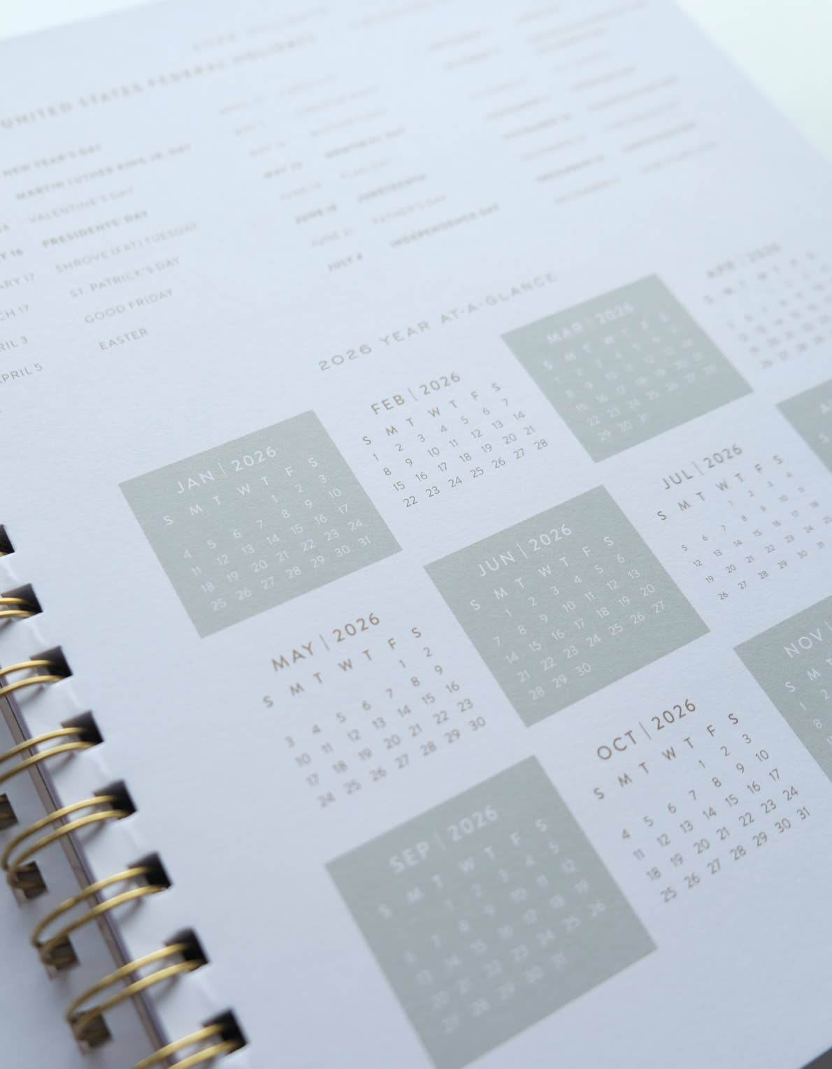 Idlewild Co. – Großhandel Planer – 2026 Softcover-Planer in Originalgröße, Primärblüten4