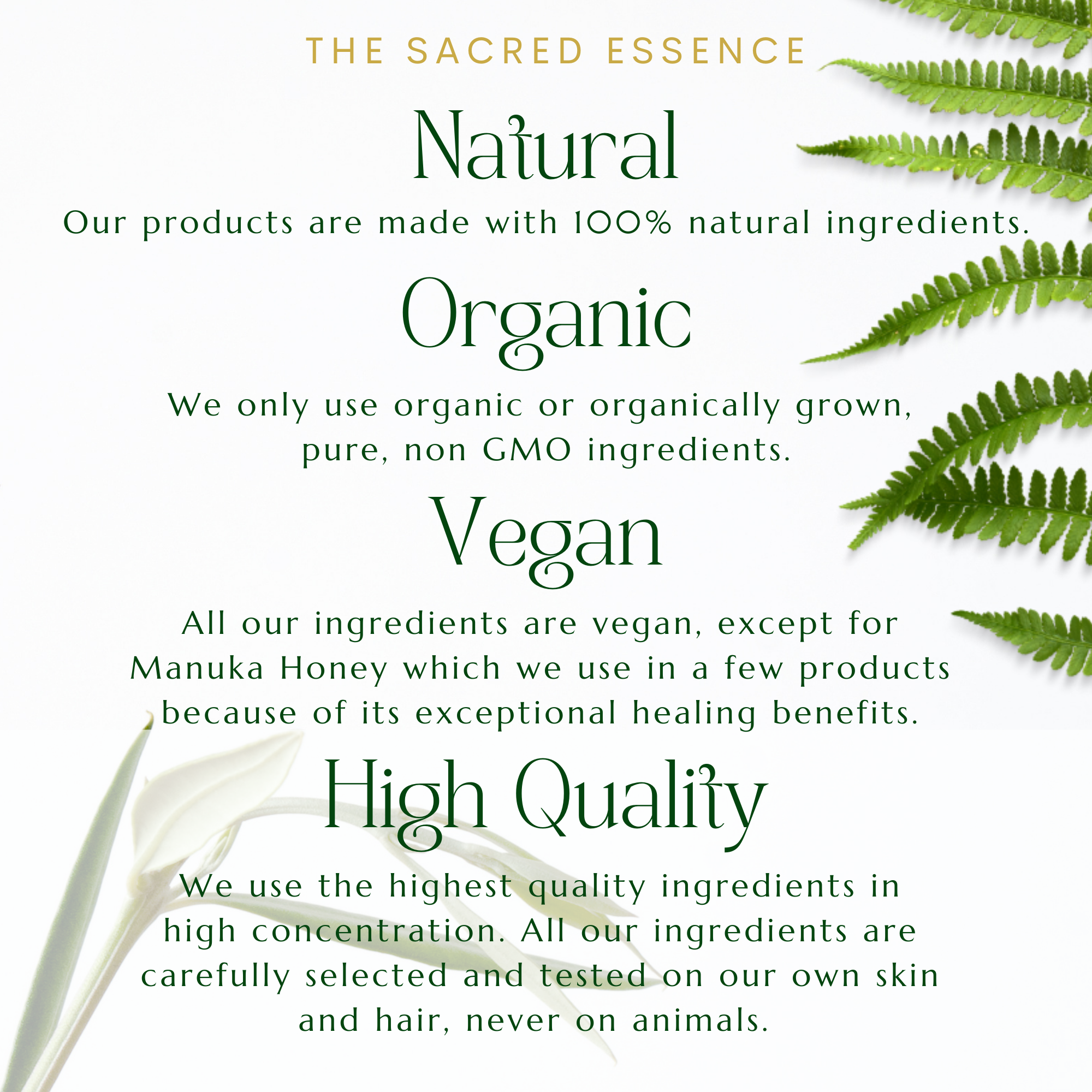 The Sacred Essence – wholesale Hårolja – HÖGRE VISDOM - 16 Kraftfull hårväxt och stärkande oljor25