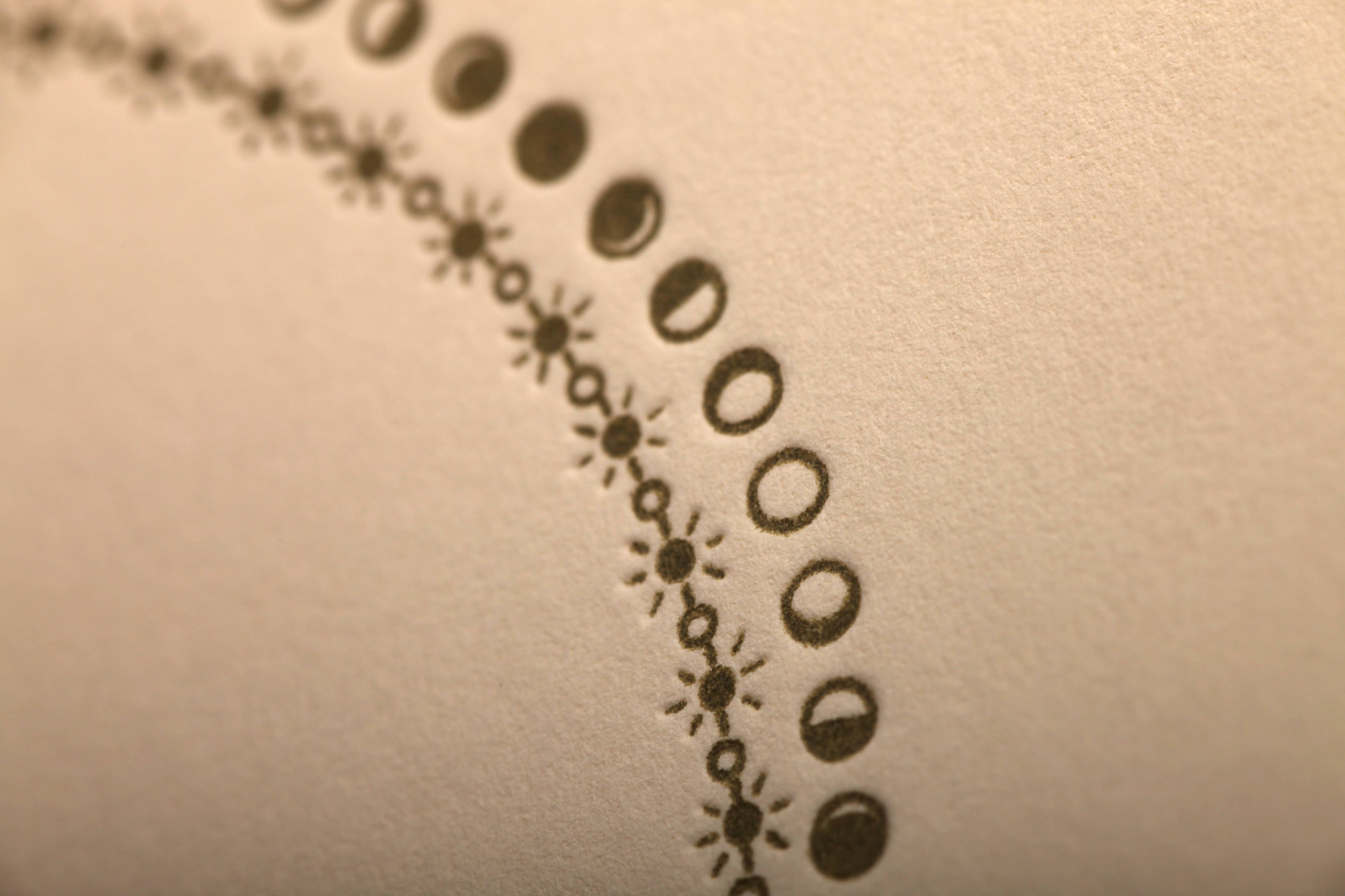 Beside Ourselves - Wholesale Congratulations Card - cheers to another cycle greeting card1