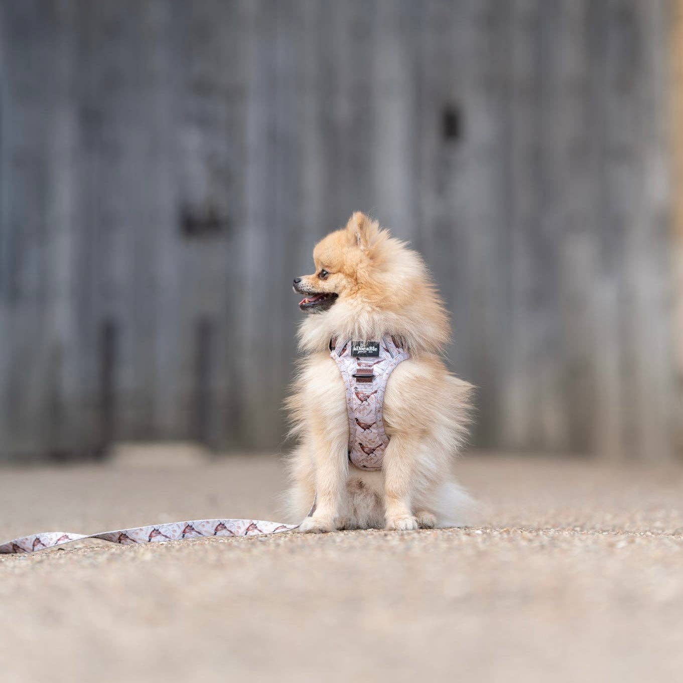 The aDoraBle Pooch Company - Wholesale Tuig voor huisdieren - Hond - Hike & Go™ Harnas - Farmland Fazant24