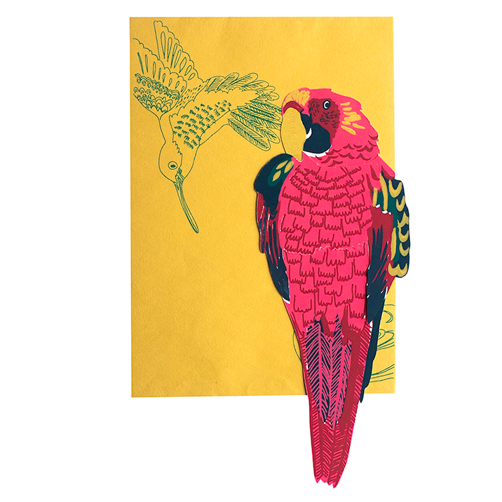 East End Press - Wholesale Everyday Greeting Card - Parrot Greeting Card3