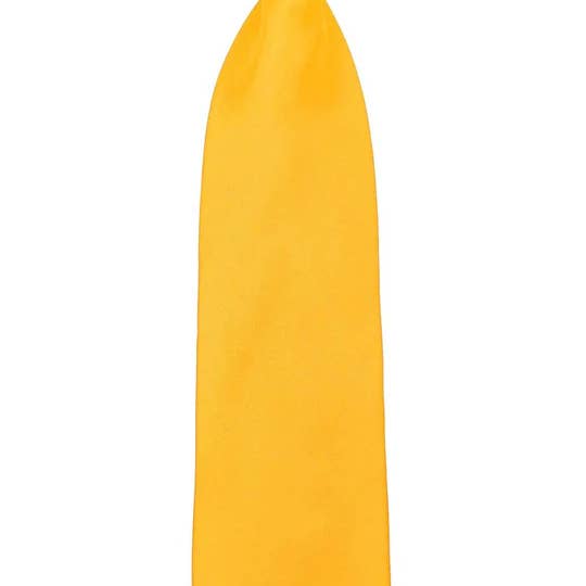 Ferrecci - Wholesale Necktie – Kids - Ferrecci - Premium 13" Boy's Clip-On Necktie4