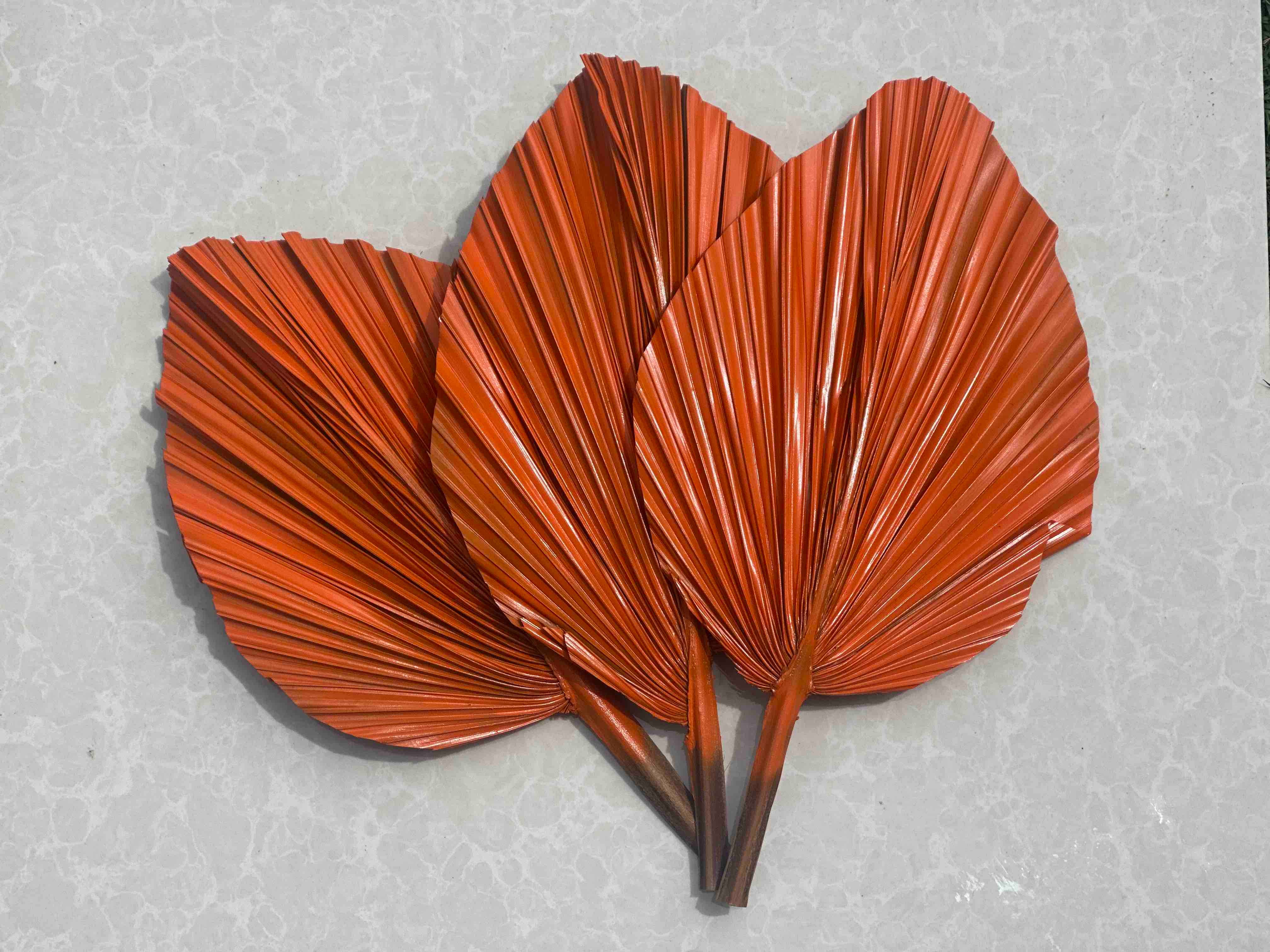 The Blooming Palm - Wholesale Retailer Sample - Home Decor - 14" PINK SunDried Painted Palm Leaf Decor, SAME DAY SHP  3