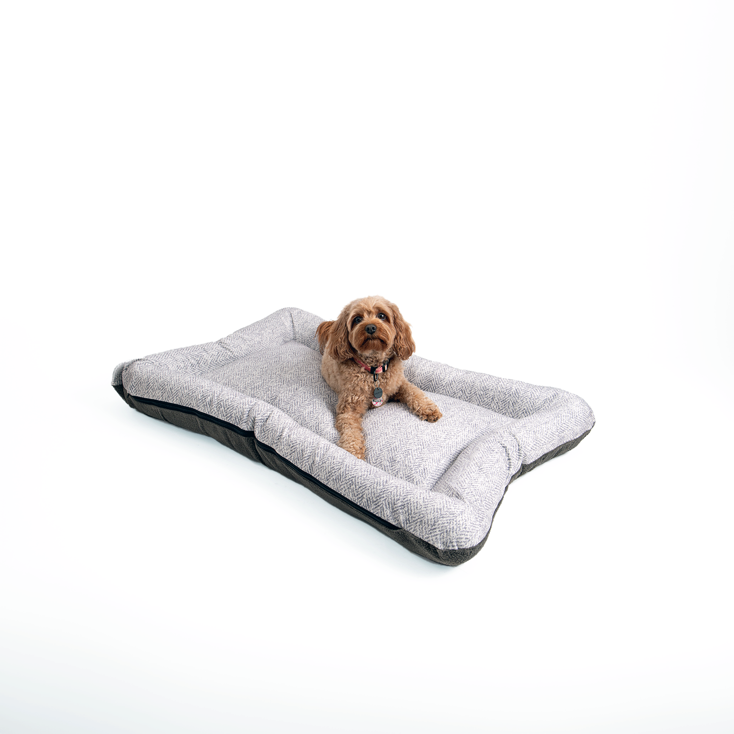 Snoozer Pet Products - Vendita all'ingrosso Letto - Cani - Cuccia per Cani All Day di Snoozer22