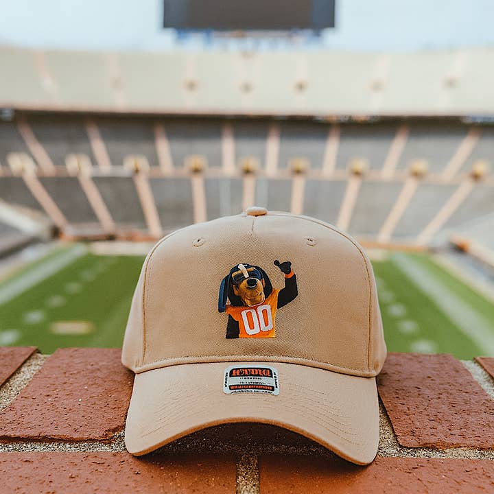 Nash Grey - Wholesale Trucker Hat - Unisex - A Vol's Best Friend Embroidered Smokey Hat1