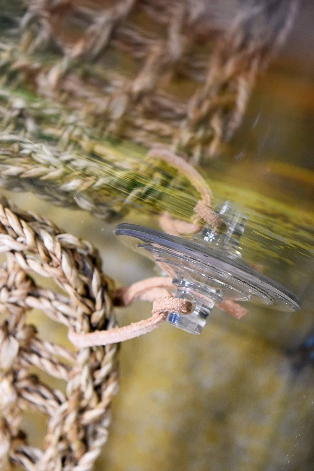 Penn-Plax - Wholesale Terrarium - Reptology Lizard Lounger Corner Triangle with Ladder – Large6