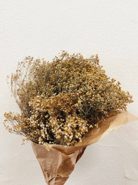 Uma Cantik – wholesale Dried/pressed flowers – Broom Bloom Natural Dried Flowers2