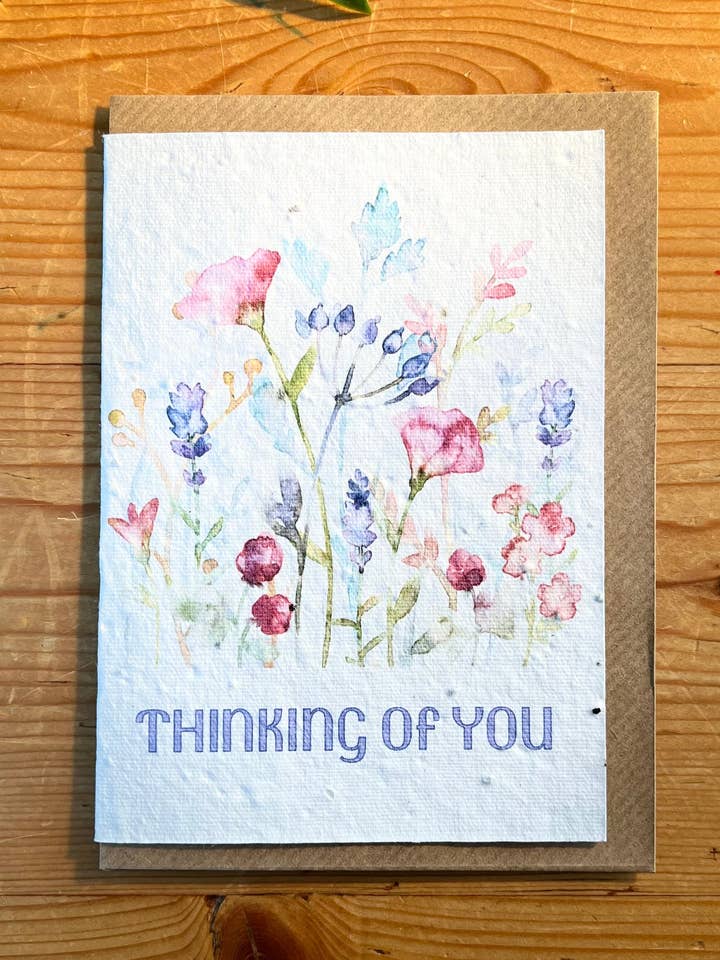 Carta di Semi - Fiori per la vendita all'ingrosso da parte di Scribe & Grow