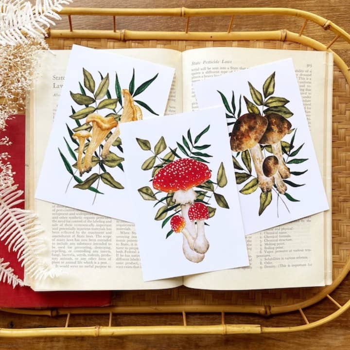 Candace Fincher - Venta al por mayor Tarjeta postal - Postales con setas