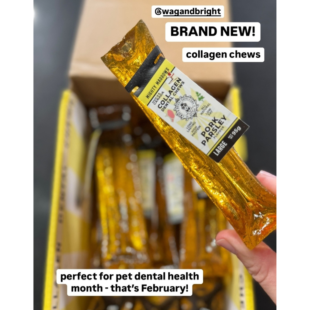 Wag & Bright Supply Co. - Vente Os à mâcher – chien - Mighty Marrows Collagen Dental Chew - Bœuf Spiruline - SM/LG19