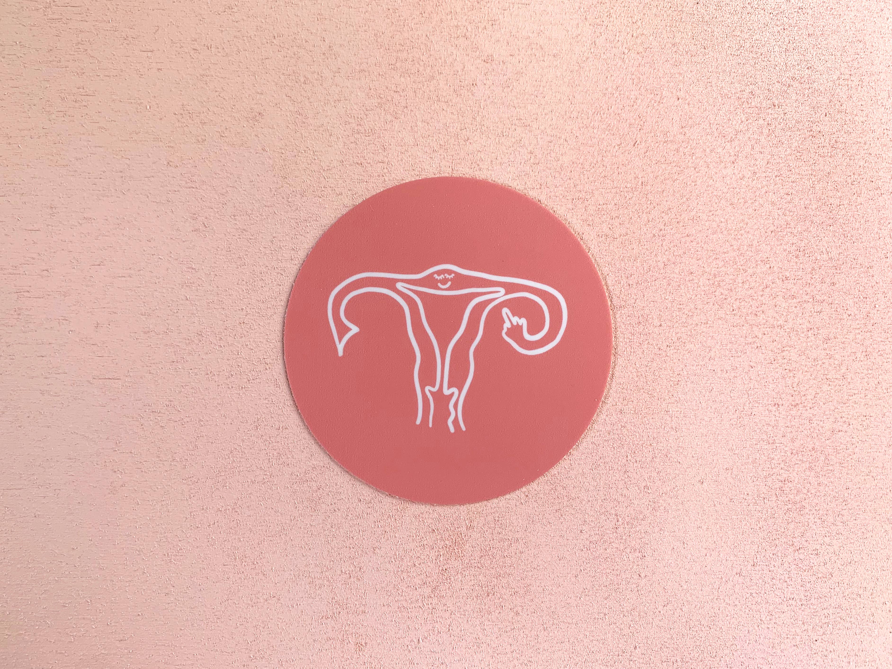 Your Gal Kiwi - Wholesale Sticker - Sassy Uterus Vinyl Sticker - LAST CHANCE STOCKING STUFFER HOLIDAY GIFT 1