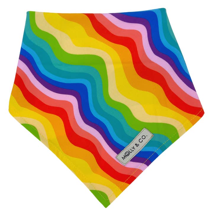 Molly & Co. – wholesale Pet bandana – Dog – Love is Love - Bandana1