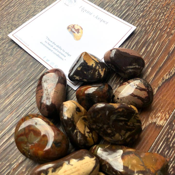 Nguni Jasper Tumbled Crystals 100gms With Info Cards for wholesale by BellaMira Home