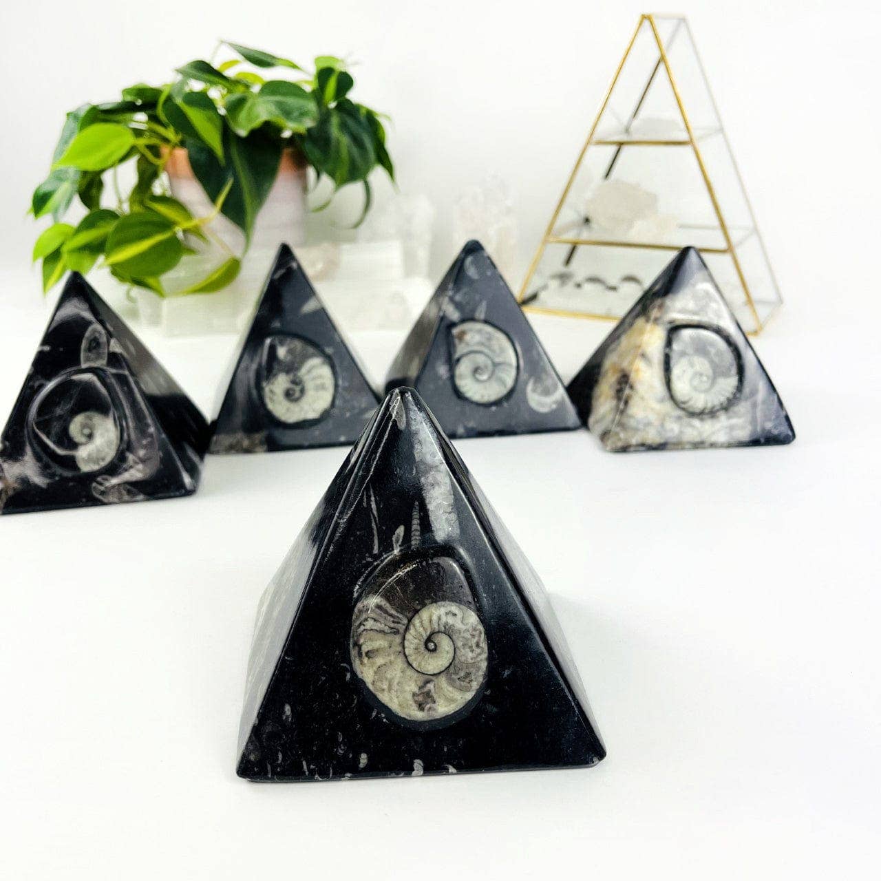 Rock Paradise – wholesale Decorative tabletop object – Ammonite and Orthoceras Fossil Pyramid1