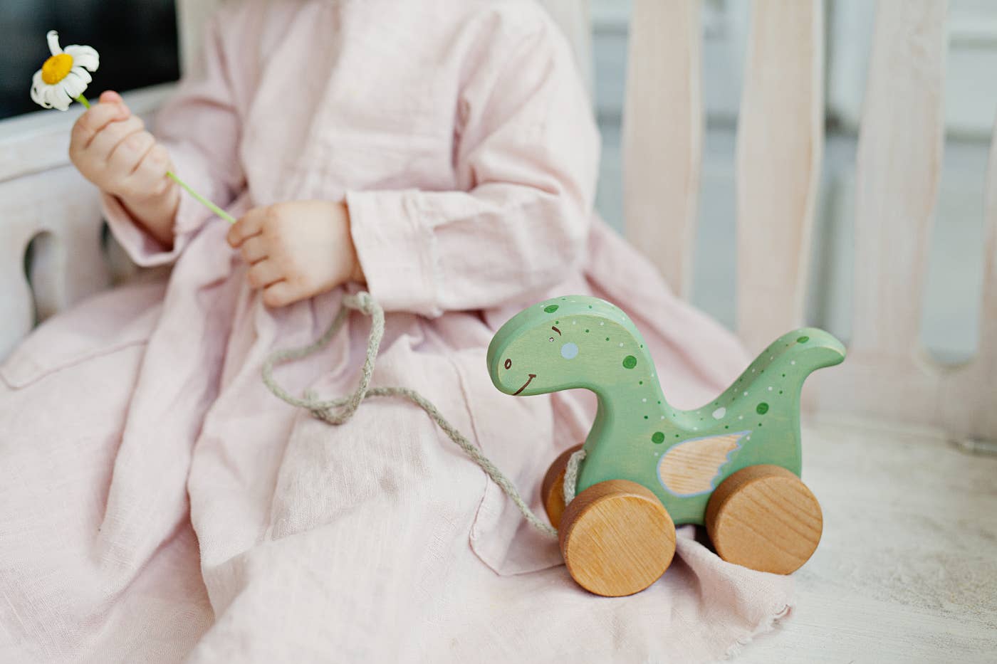 Friendly Toys - Wholesale Wood Toy - Kids - Handcrafted Birch Wood Dinosaur Pull Toy3