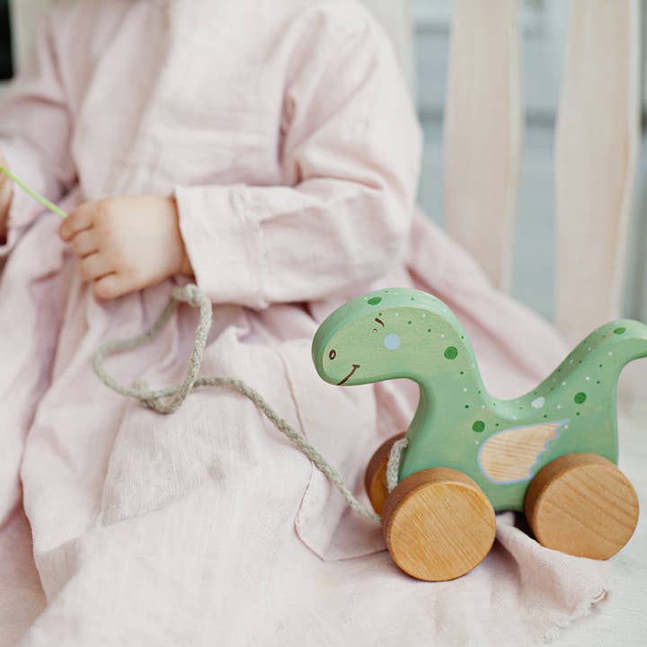 Friendly Toys - Wholesale Wood Toy - Kids - Handcrafted Birch Wood Dinosaur Pull Toy3