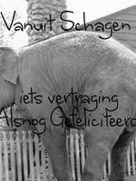 Wenskaart Colorboost Iii - Vak 105 voor wholesale door POSkaart | De Groot Design