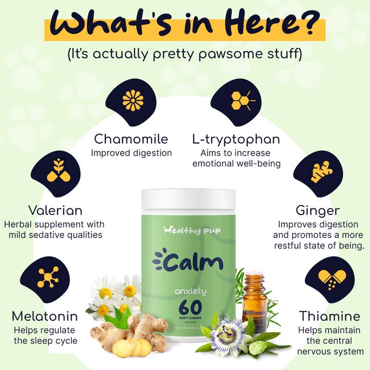 Chew + Heal - Wholesale Pet Supplement - Dog - Healthy Pup Calm, Anxiety & Behavior Supplement for Dogs1