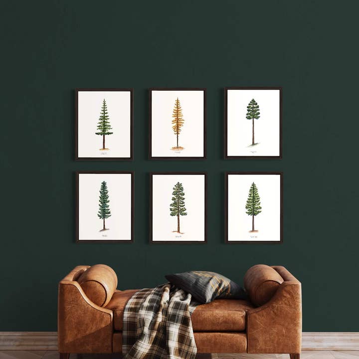 Watercolor Wednesday - Wholesale Art Print - Tree Art Print | Watercolor Ponderosa Pine Nature Wall Art4