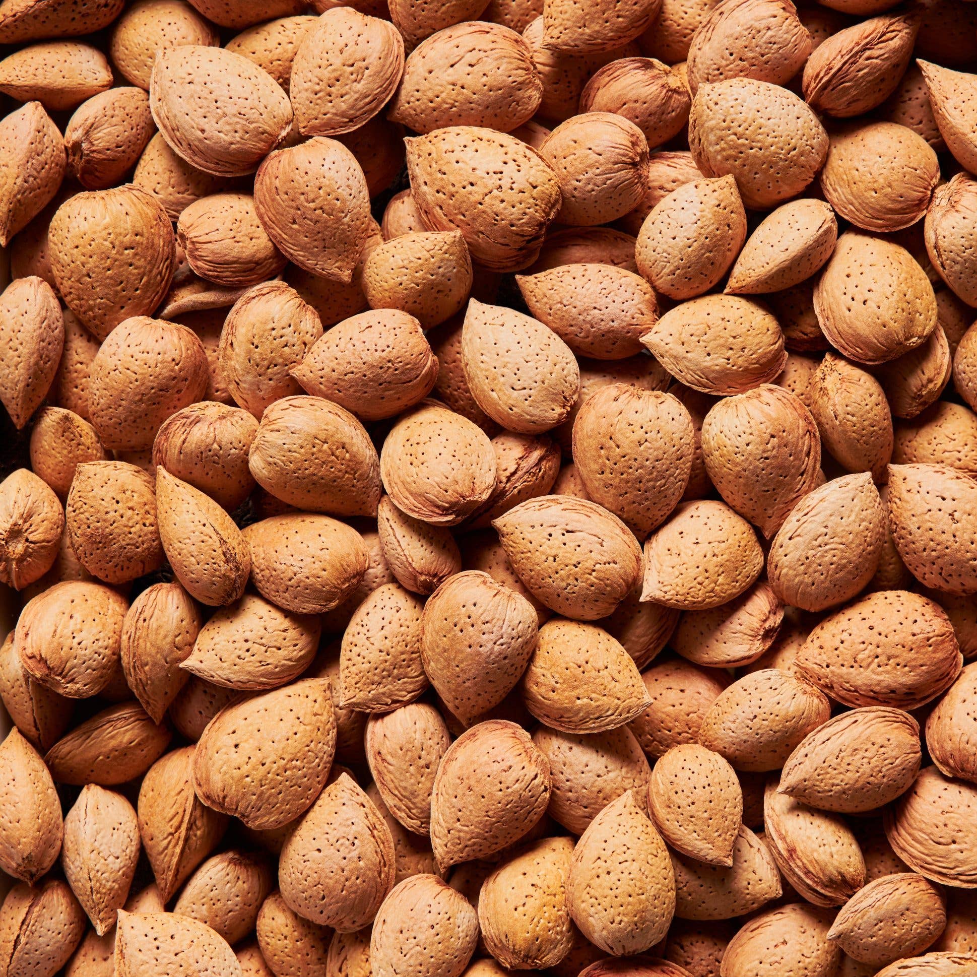 I'M NAT - Wholesale Nuts - Algarve Almond with Shell 1Kg2