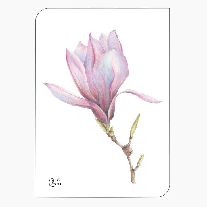 Magnolien Postkarte mit rosa Frühjahrsblüte - Gartenmotive für den Großhandel von christine wiegelmann design