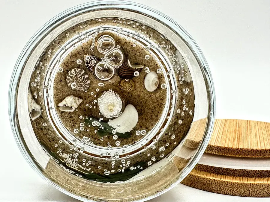 Devonian Coast - Wholesale Novelty Candle - Sea Turtle Hatchling Gel Candle – Medium 6oz Wax2